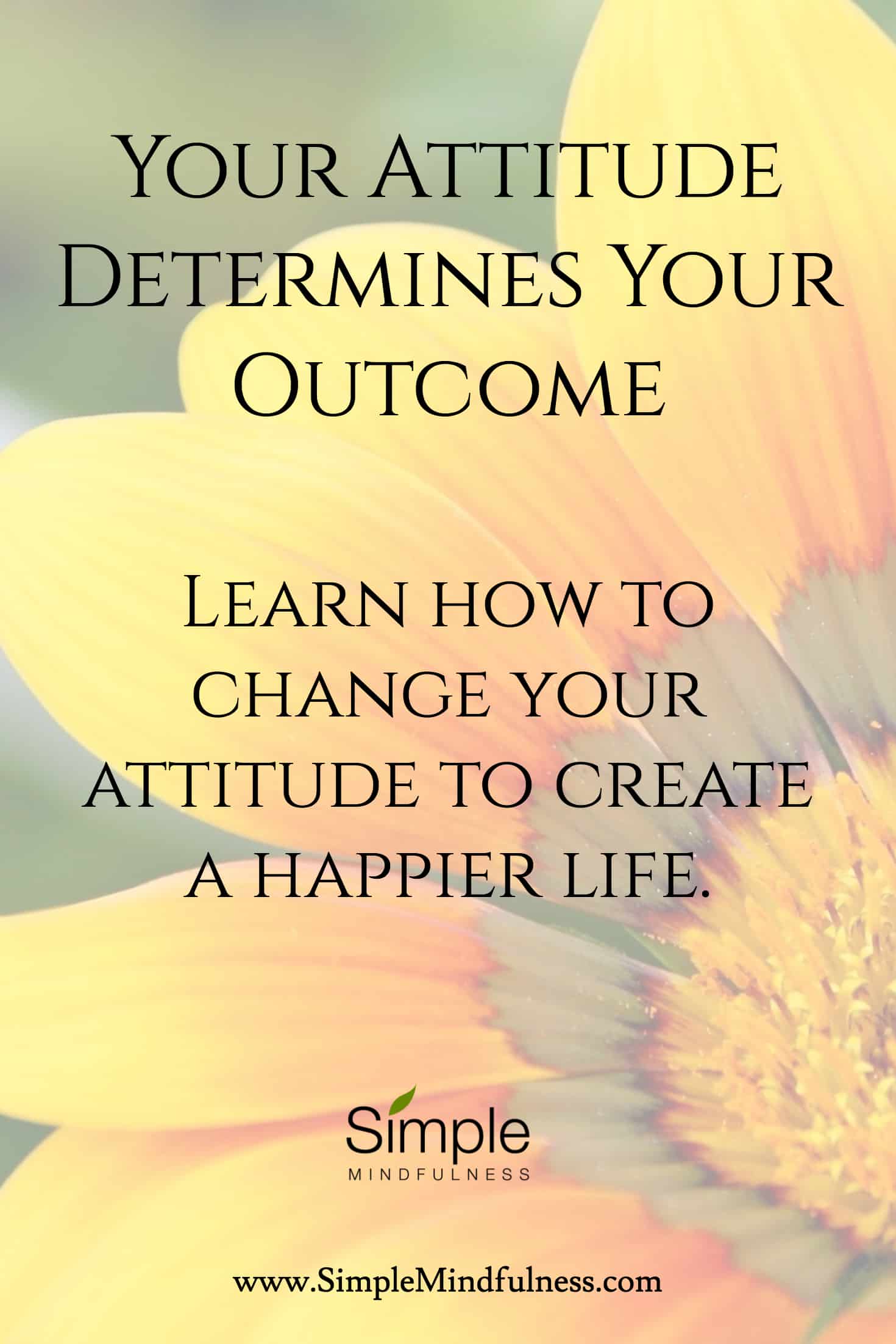 Your Attitude Determines Your Outcome: Find out how to change unwanted outcomes with a new attitude.